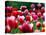 Rain Drops Twinkle on Blooming Tulips on a Field near Freiburg, Germany-Winfried Rothermel-Premier Image Canvas