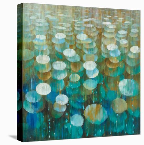 Rain Drops-Danhui Nai-Stretched Canvas