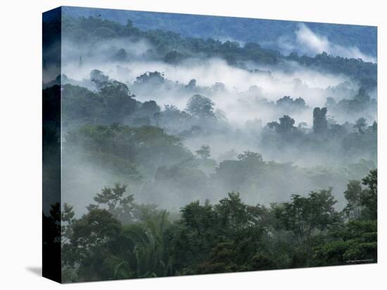 Rain Forest, from Lubaantun to Maya Mountains, Belize, Central America-Upperhall-Premier Image Canvas