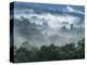 Rain Forest, from Lubaantun to Maya Mountains, Belize, Central America-Upperhall-Premier Image Canvas