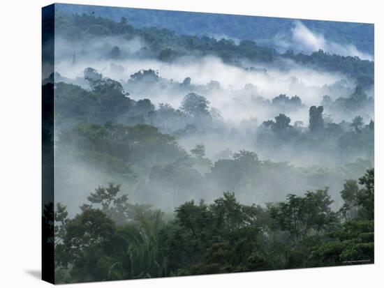 Rain Forest, from Lubaantun to Maya Mountains, Belize, Central America-Upperhall-Premier Image Canvas