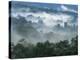 Rain Forest, from Lubaantun to Maya Mountains, Belize, Central America-Upperhall-Premier Image Canvas