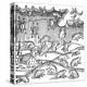 Rain of Frogs Recorded in 1355-null-Premier Image Canvas