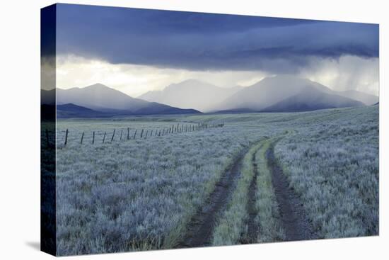 Rain Showers over Sagebrush-Steppe at the Foot of the Sawtooth Mountains-Gerrit Vyn-Premier Image Canvas