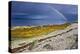 Rainbow Above Rocky Beach and Small Boat-null-Premier Image Canvas