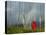 Rainbow and Monks with Praying Flags, Phobjikha Valley, Gangtey Village, Bhutan-Keren Su-Premier Image Canvas