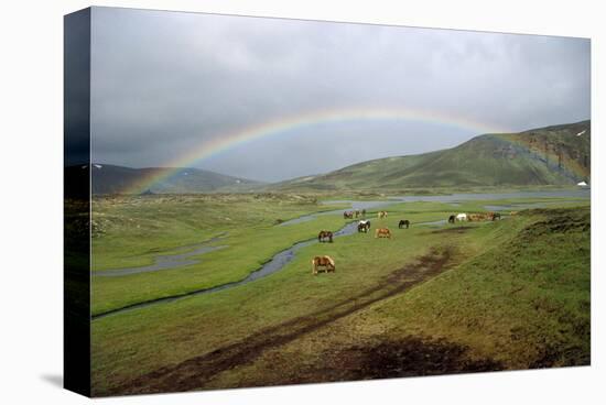 Rainbow at Lake Alftavatn, Fjallabak National Park, Iceland-null-Stretched Canvas