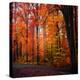 Rainbow Fall-Philippe Sainte-Laudy-Premier Image Canvas