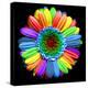 Rainbow Flower-Magda Indigo-Premier Image Canvas