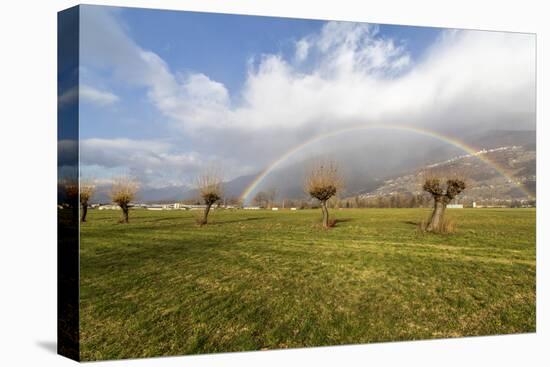 Rainbow on bare trees, Cosio Valtellino, Sondrio province, Valtellina, Lombardy, Italy, Europe-Roberto Moiola-Premier Image Canvas