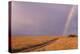 Rainbow on the Savanna-DLILLC-Premier Image Canvas