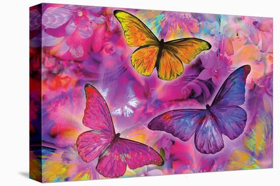 Rainbow Orchid Morpheus-Alixandra Mullins-Stretched Canvas