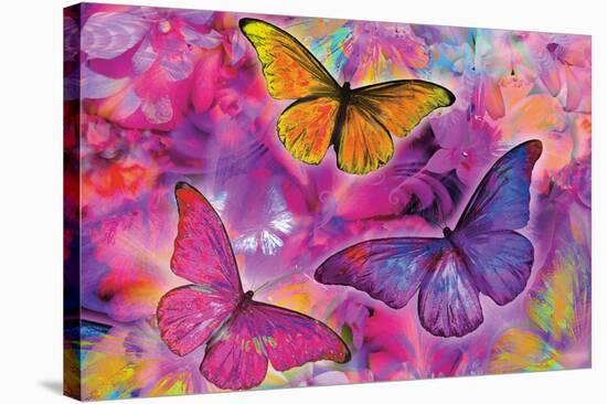 Rainbow Orchid Morpheus-Alixandra Mullins-Stretched Canvas
