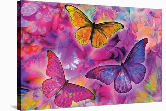 Rainbow Orchid Morpheus-Alixandra Mullins-Stretched Canvas