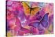 Rainbow Orchid Morpheus-Alixandra Mullins-Stretched Canvas