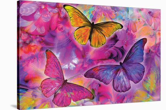 Rainbow Orchid Morpheus-Alixandra Mullins-Stretched Canvas