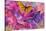 Rainbow Orchid Morpheus-Alixandra Mullins-Stretched Canvas