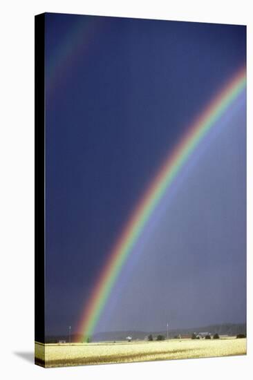 Rainbow Over a Field-Pekka Parviainen-Premier Image Canvas