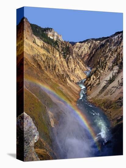 Rainbow over Lower Yellowstone Falls-James Randklev-Premier Image Canvas