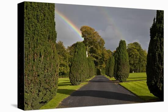 Rainbow over the Yew Walk in Emo Court Gardens,Emo Village, County Laois, Ireland-null-Premier Image Canvas