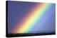 Rainbow Over Trees-Pekka Parviainen-Premier Image Canvas