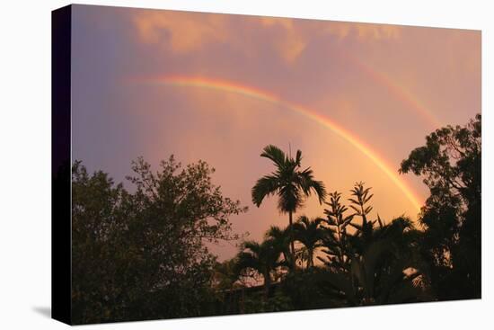 Rainbow Palms-Robert Goldwitz-Premier Image Canvas