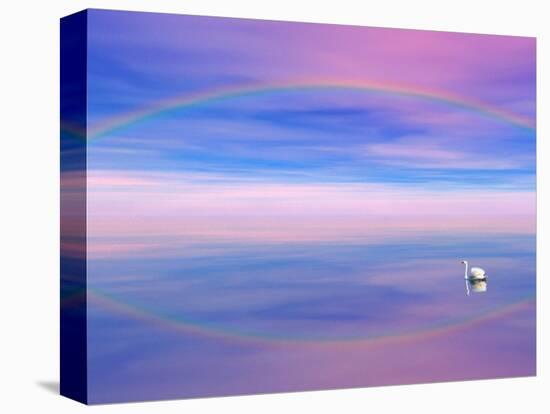 Rainbow Reflecting over Swan-Cindy Kassab-Premier Image Canvas