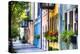 Rainbow Row I, Charleston South Carolina-George Oze-Premier Image Canvas