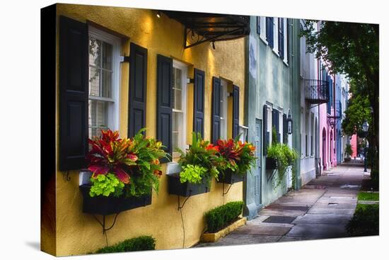 Rainbow Row II, Charleston South Carolina-George Oze-Premier Image Canvas