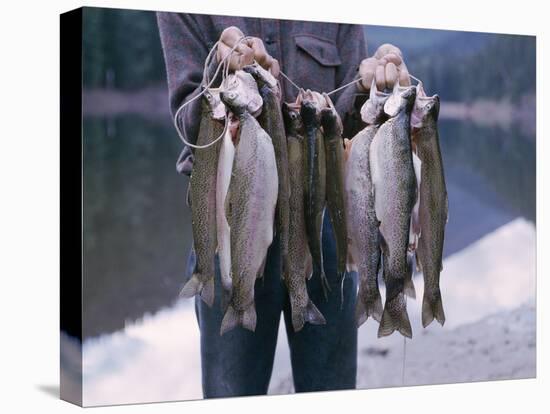 Rainbow Trout-null-Premier Image Canvas