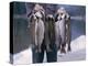 Rainbow Trout-null-Premier Image Canvas