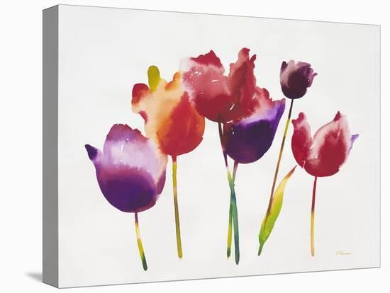 Rainbow Tulips 1-Paulo Romero-Stretched Canvas