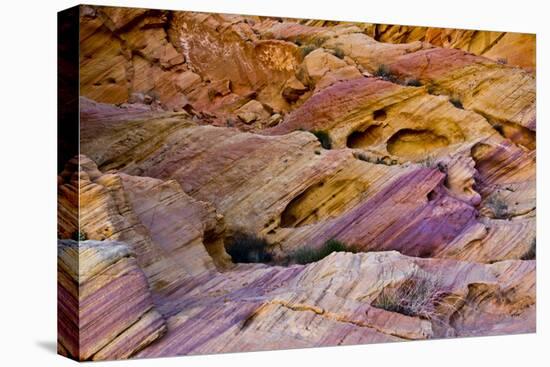 Rainbow Vista, Valley of Fire State Park, Overton, Nevada, USA-Michel Hersen-Premier Image Canvas