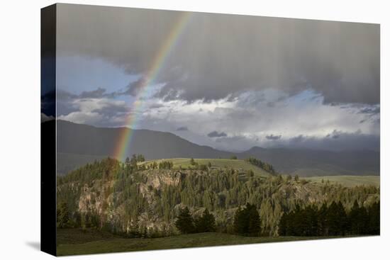 Rainbow, Yellowstone National Park, UNESCO World Heritage Site, Wyoming, USA, North America-James Hager-Premier Image Canvas