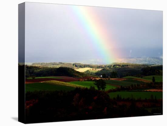 Rainbow-null-Premier Image Canvas