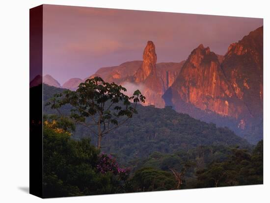 Rainforest and Mountains-Kevin Schafer-Premier Image Canvas