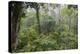 Rainforest Canopy Walkway, Sabah, Borneo, September 2015-Adrian Davies-Premier Image Canvas