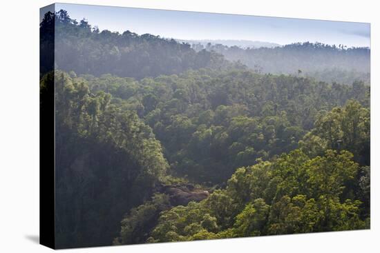 Rainforest in Tully Gorge National Park-Louise Murray-Premier Image Canvas