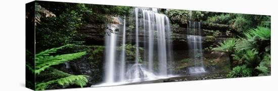 Rainforest, Mt. Field National Park, Tasmania, Australia-null-Premier Image Canvas