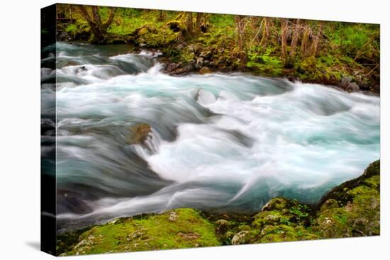 Rainforest River II-Douglas Taylor-Stretched Canvas