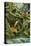 Rainforest-Tim Knepp-Premier Image Canvas