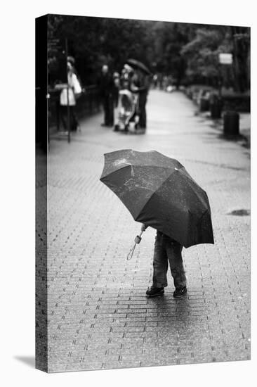 Rainy Day-Liesbeth Van Der-Premier Image Canvas