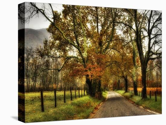 Rainy Morning on Sparks Lane-Danny Head-Stretched Canvas