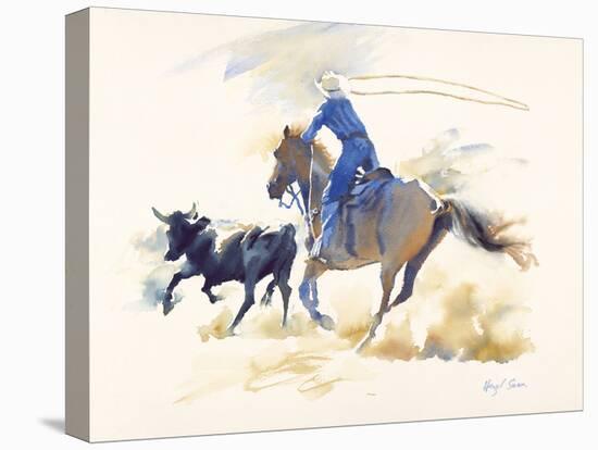 Raising Dust, Colorado-Hazel Soan-Stretched Canvas