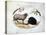 Ram, Black Sheep and Two Apple Branches, 16th Century-Joris Hoefnagel-Premier Image Canvas