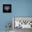 Ram Head Black Mesh-Lisa Kroll-Stretched Canvas displayed on a wall