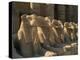 Ram-Headed Sphinxes of the Processional Avenue, at the Temple of Karnak, Thebes, Egypt-Richardson Rolf-Premier Image Canvas