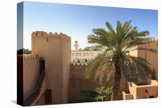 Ramparts, Dhofar Region-Eleanor Scriven-Premier Image Canvas