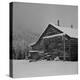 Ranch House after early Fall Blizzard, near Aspen, Colorado, 1941-Marion Post Wolcott-Premier Image Canvas