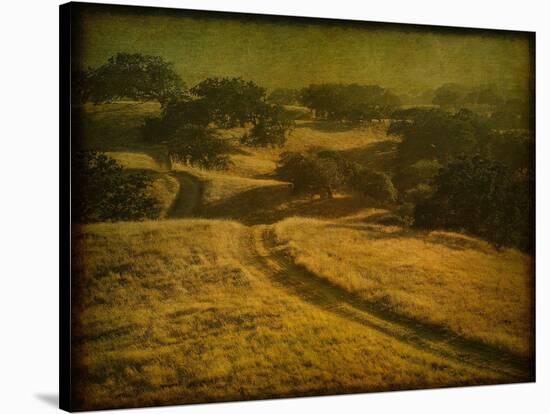 Ranch Road and Oak Savannah-William Guion-Stretched Canvas